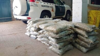 Droga incautada en Cogolludo (Castilla-La Mancha)