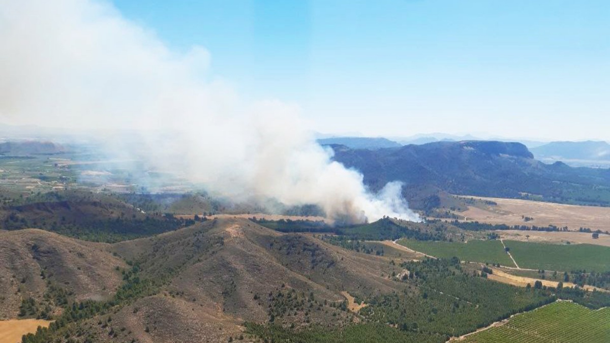 Incendio forestal en la provincia de Albacete / Foto: Plan Infocam