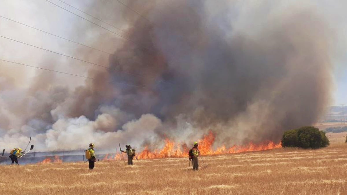 Incendio forestal en Puertollano (Ciudad Real, Castilla-La Mancha)