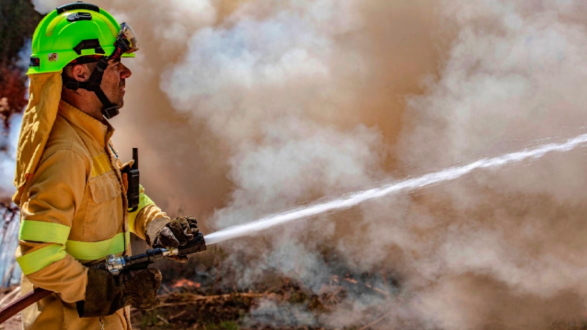 Incendio forestal - FOTO DE ARCHIVO - Albacete