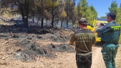 Incendio forestal en una pedanía de Hellín (Albacete)