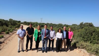 El consejero de Agricultura, Agua y Desarrollo Rural, Francisco Martínez Arroyo / JCCM