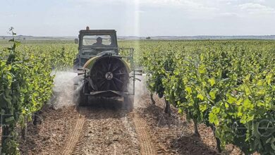 Un agricultor en una explotación de Albacete