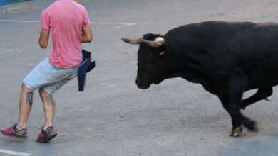 Herido un vecino de Albacete en los 'Bous al Carrer'