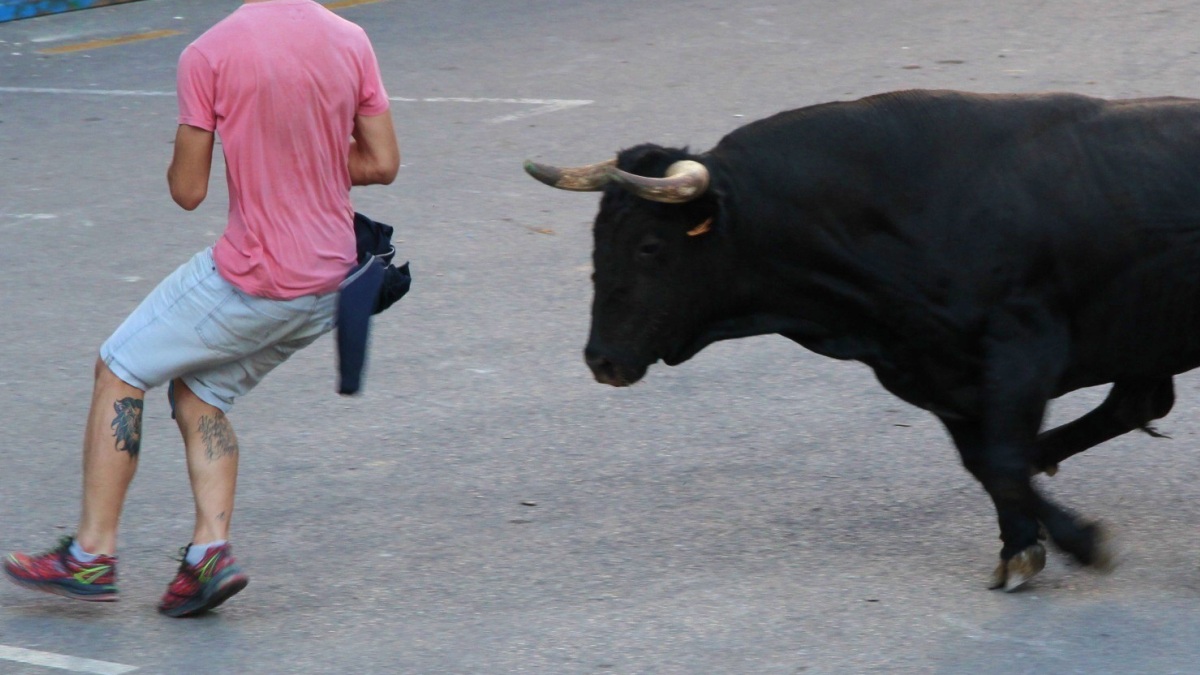 Herido un vecino de Albacete en los 'Bous al Carrer'