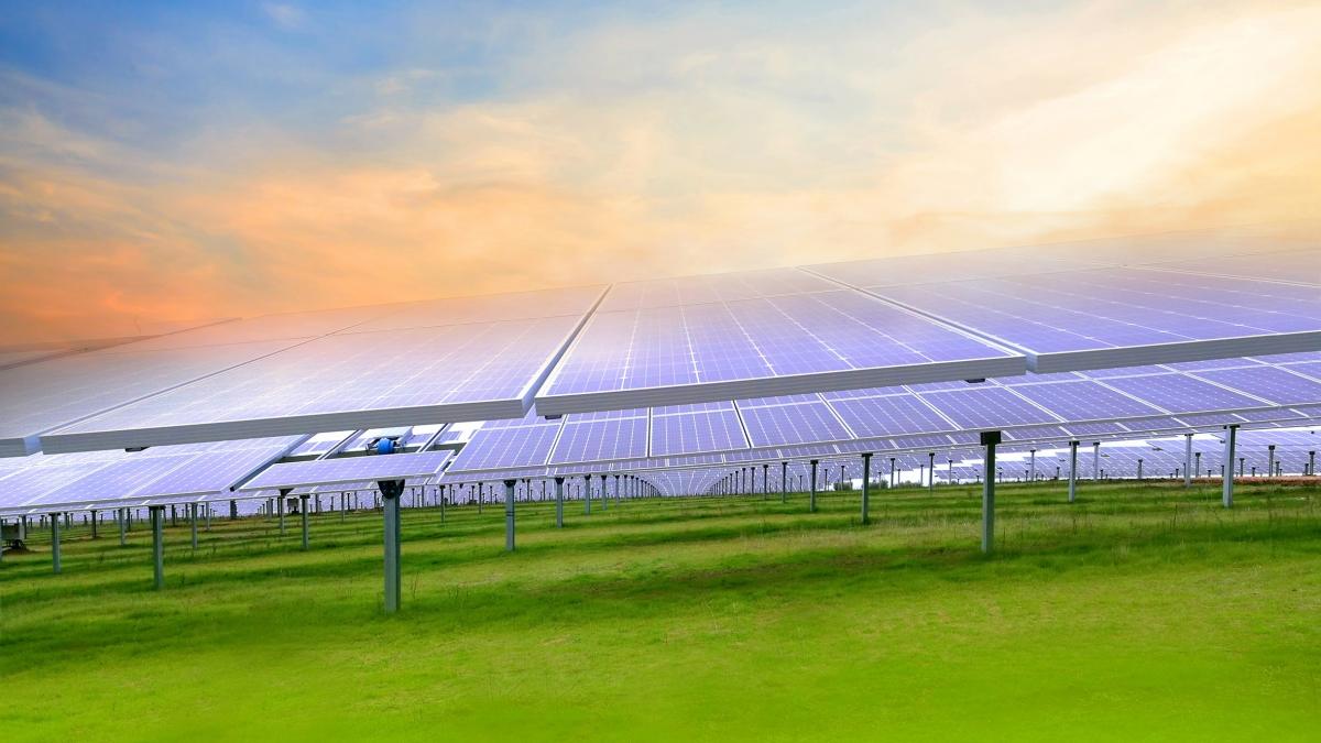 Proyecto fotovoltaico de Elawan / Foto: ELAWAN ENERGY