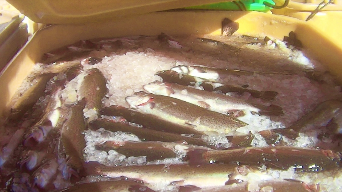 FOTO: FUNDACIÓN FRANZ WEBER