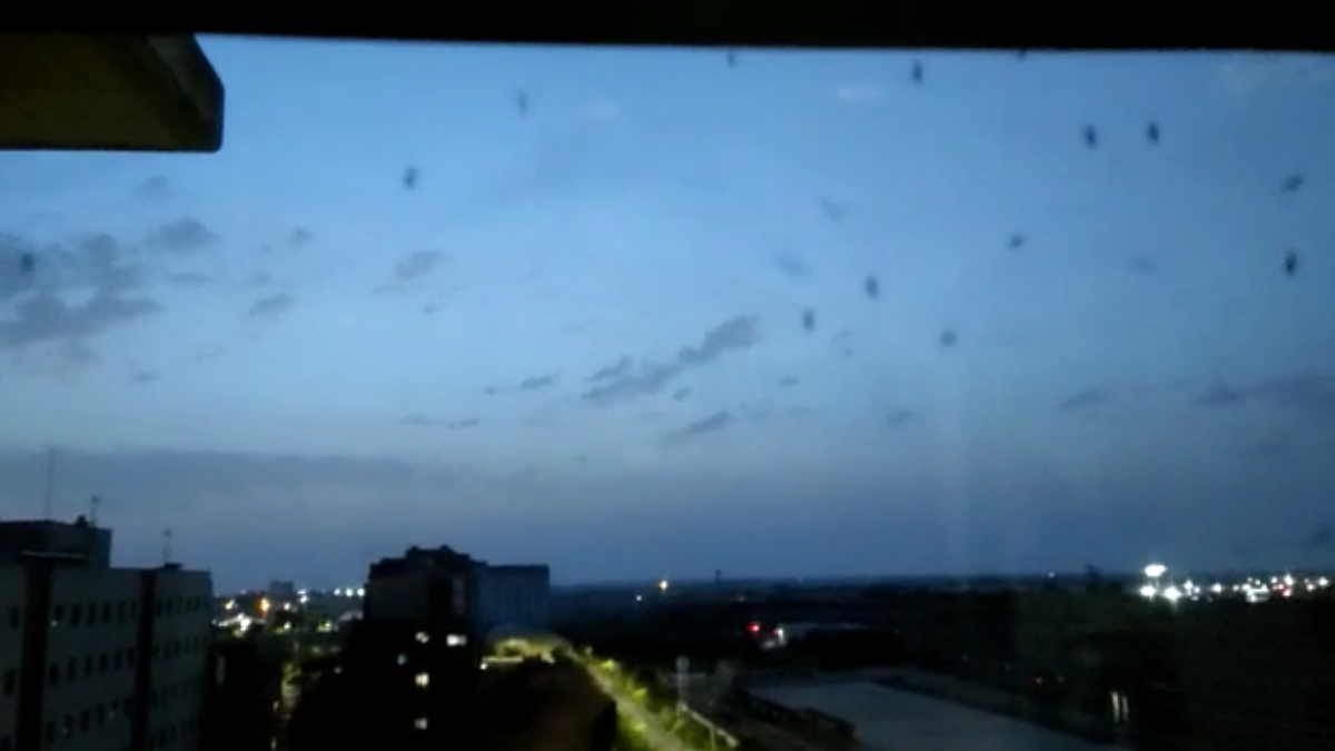 Mosquitos en esta zona de Albacete