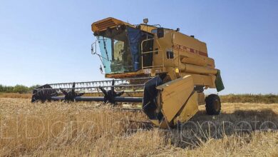 Labores de siega en Albacete