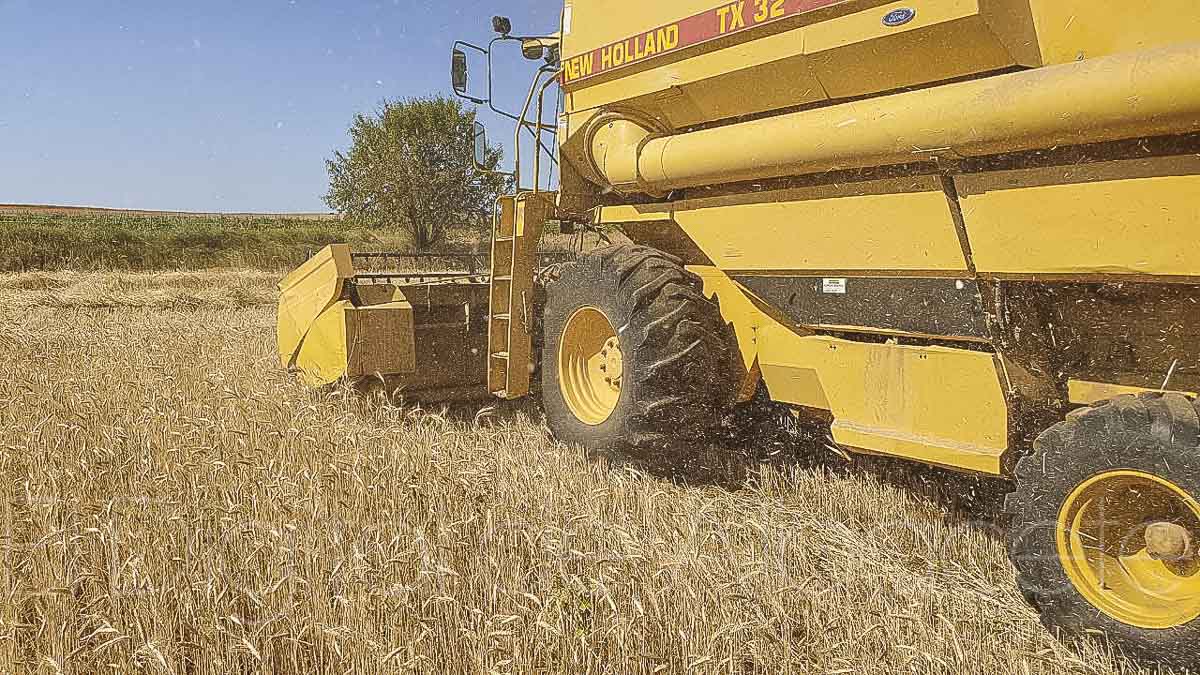 Una cosechadora en un pueblo de Albacete