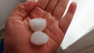 Tamaño del granizo caído este martes en Albacete capital