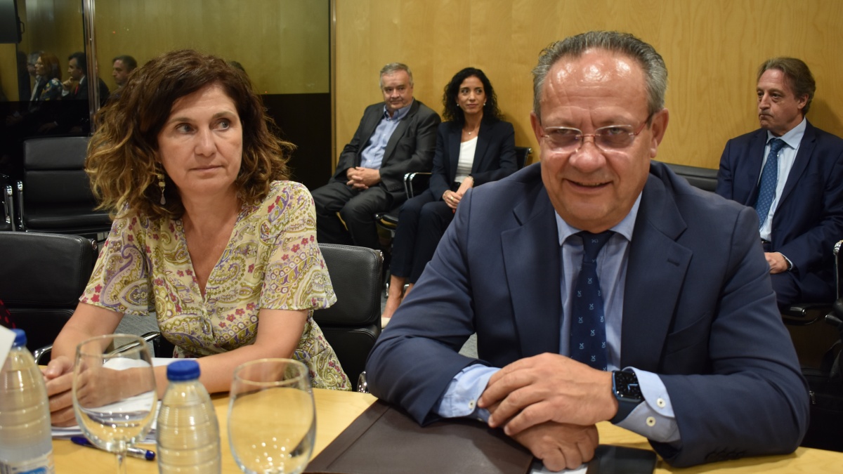 El consejero de Hacienda y Administraciones Públicas, Juan Alfonso Ruiz Molina, en la reunión del CPFF / Foto: JCCM