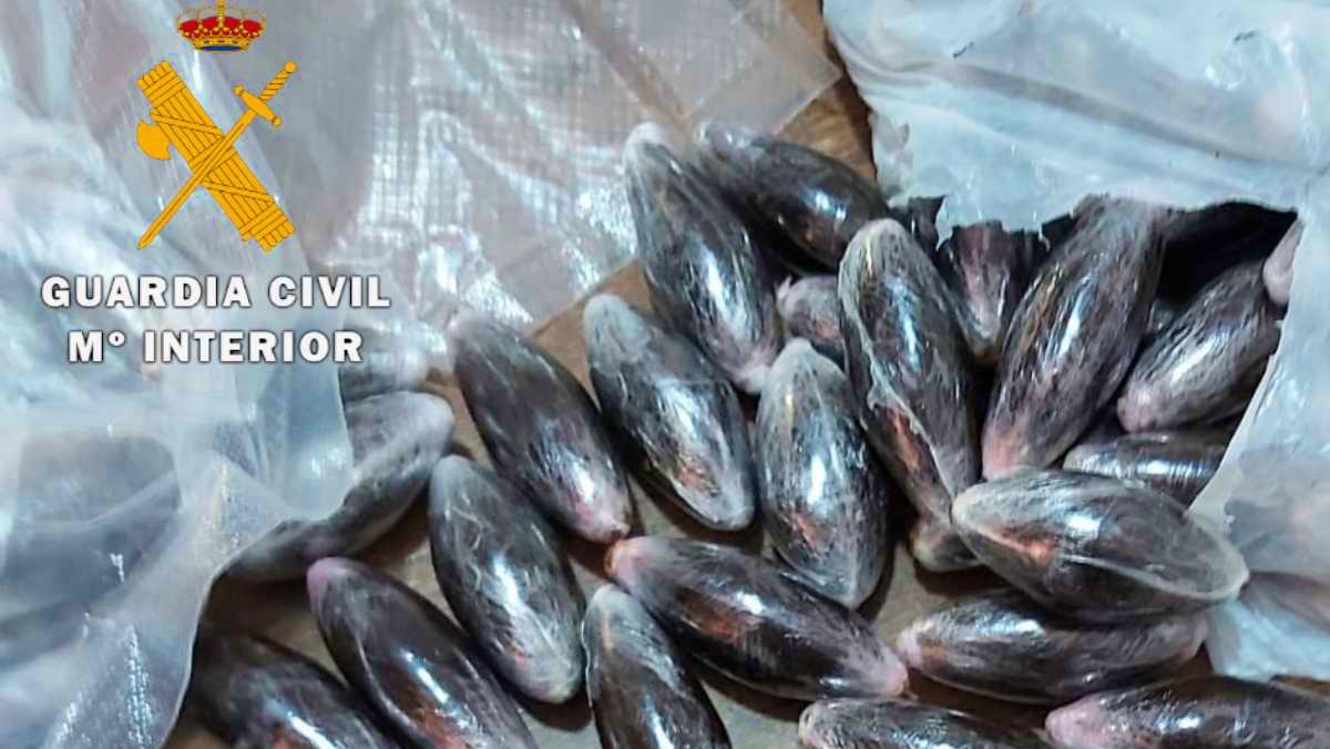 Juicio - Hachís - Albacete