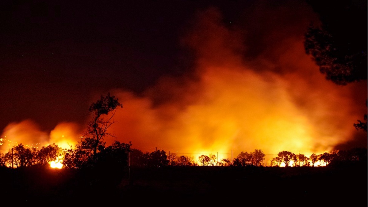 Incendio forestal - Foto de archivo - Albacete