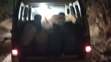 Robo gasoil en Añover / Foto Guardia Civil