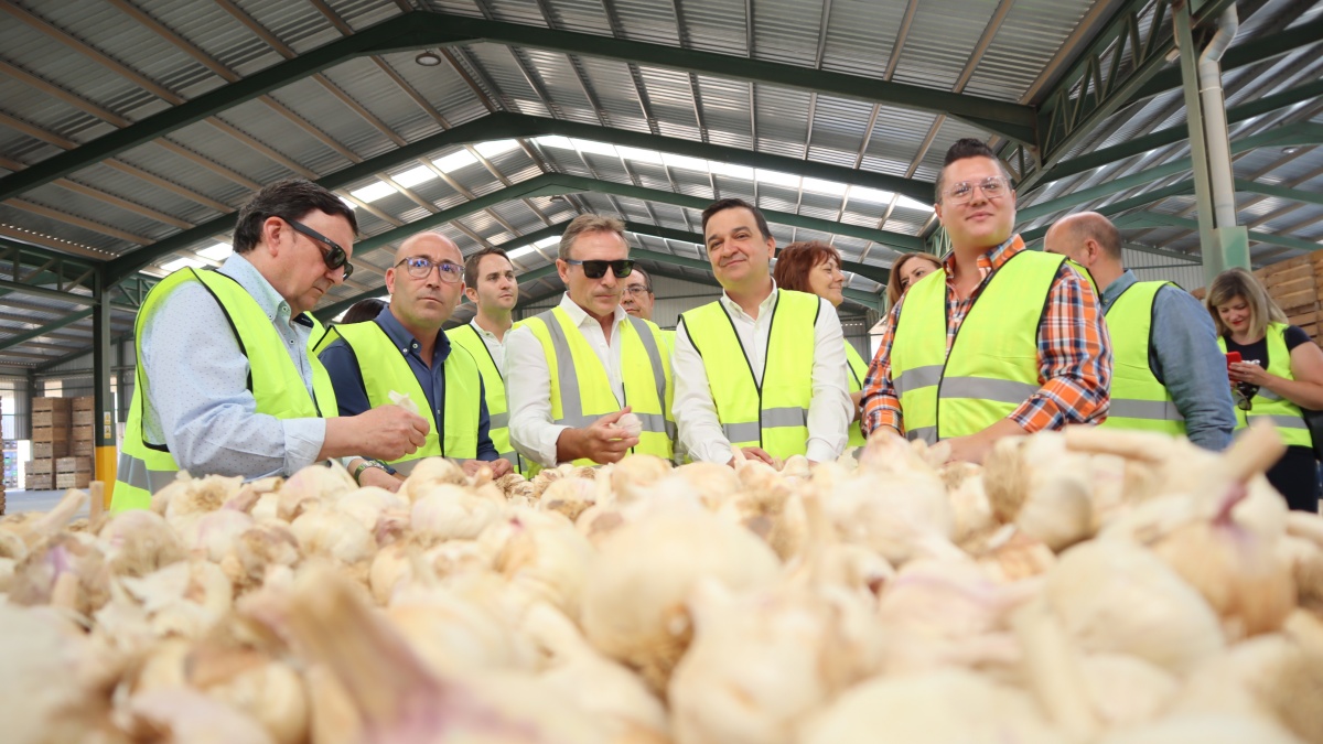 El consejero de Agricultura, Agua y Desarrollo Rural, Francisco Martínez Arroyo, quien en la jornada de hoy ha visitado la localidad de Balazote / Foto: JCCM