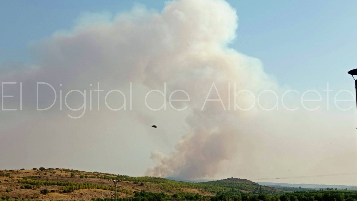 Incendio forestal en Casas de Lázaro (Albacete)