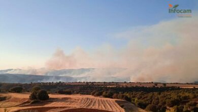 Incendio en Valdepeñas de la Sierra, Guadalajara / Foto: INFOCAM