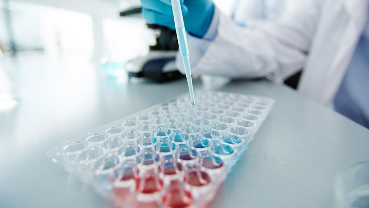 La Junta convoca una nueva línea de ayudas, dotada con más de 1,1 millones de euros, destinada al fomento de la investigación posdoctoral / Foto: JCCM