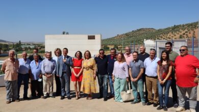 El Gobierno regional apoyará el olivar de bajo rendimiento con el regadío social para transformar la vida de esta comarca de Castilla-La Mancha / JCCM