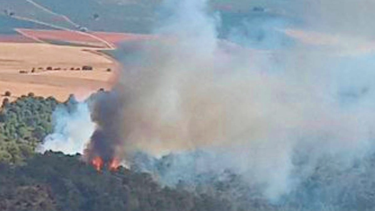 Incendio forestal en Alpera (Albacete)