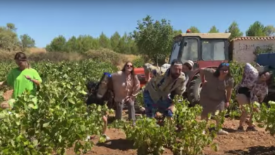 Canción 'Deslomao' del humorista albaceteño Antonio Moya / Imagen: Videoclip 'Deslomao'-Youtube