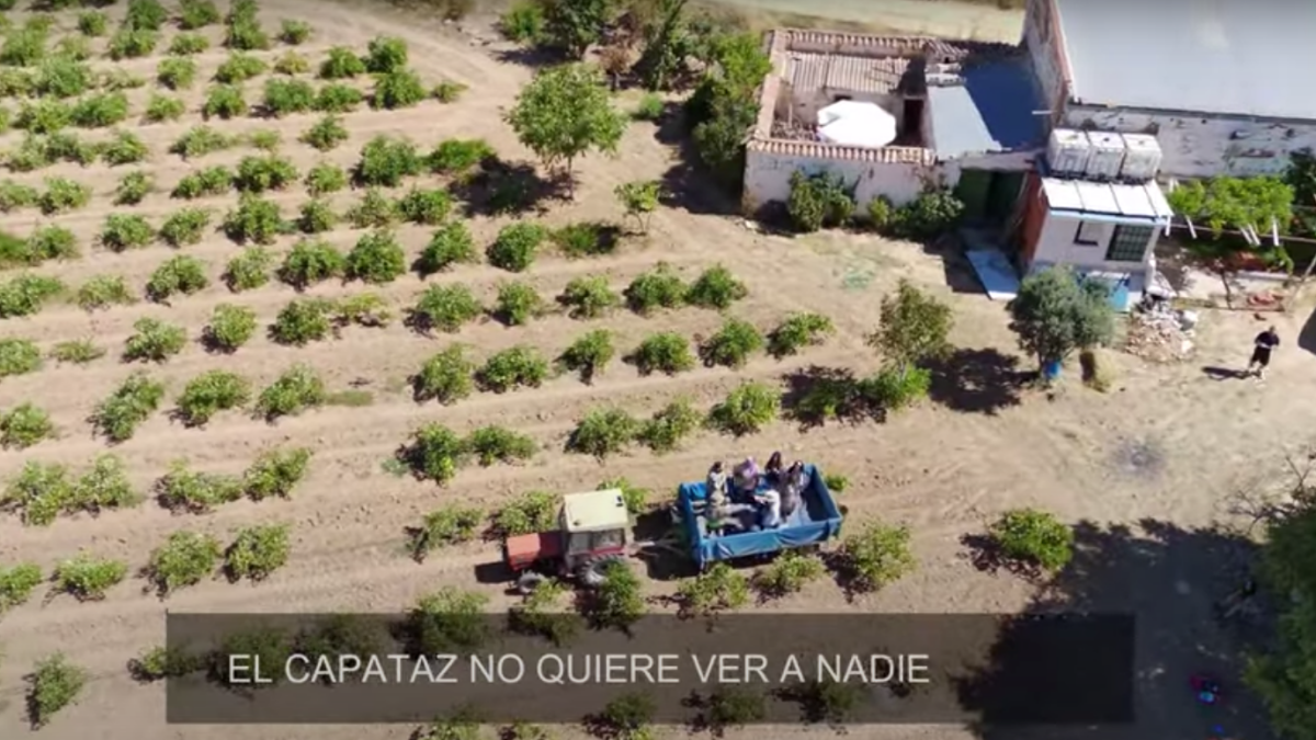 Canción 'Deslomao' del humorista albaceteño Antonio Moya / Imagen: Videoclip 'Deslomao'-Youtube