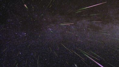Perseidas, lluvia de estrellas