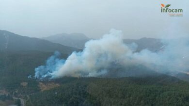 Incendio forestal en la provincia de Albacete / Foto: Plan Infocam