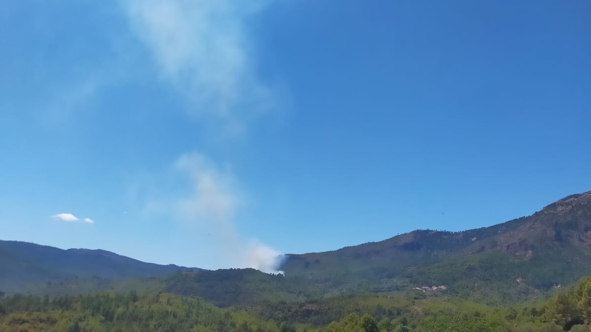 Incendio forestal en la provincia de Albacete / Imagen Marta Murillo