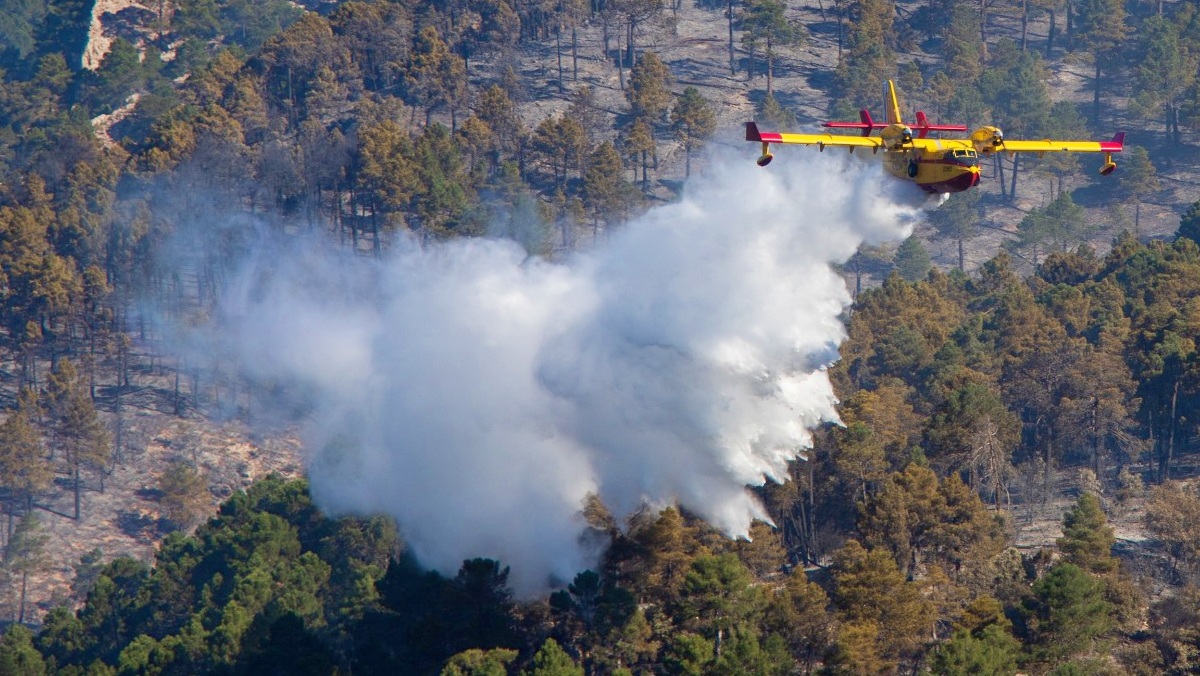 Incendio forestal en Albacete - Foto de archivo