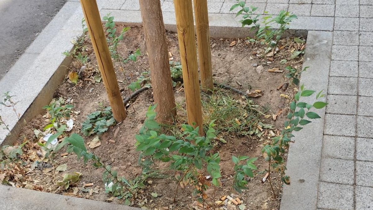 Jardín ubicado en la confluencia de la calle Miguel López de Legazpi y la Avenida de la Guardia Civil en Albacete