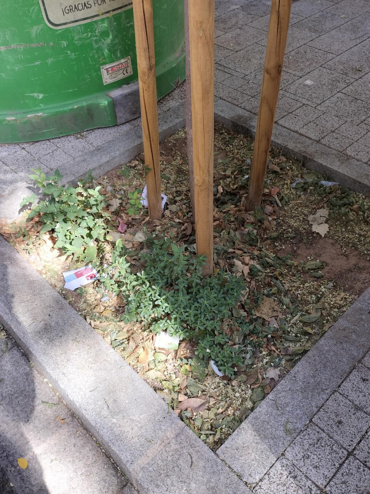 Jardín ubicado en la confluencia de la calle Miguel López de Legazpi y la Avenida de la Guardia Civil en Albacete