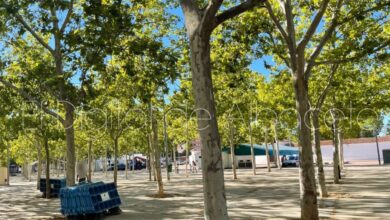 Montaje de las carpas de la Feria de Albacete