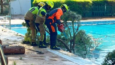 Árbol caído en la piscina del Carlos Belmonte en Albacete