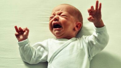 Imagen de joffi en Pixabay - Foto de archivo