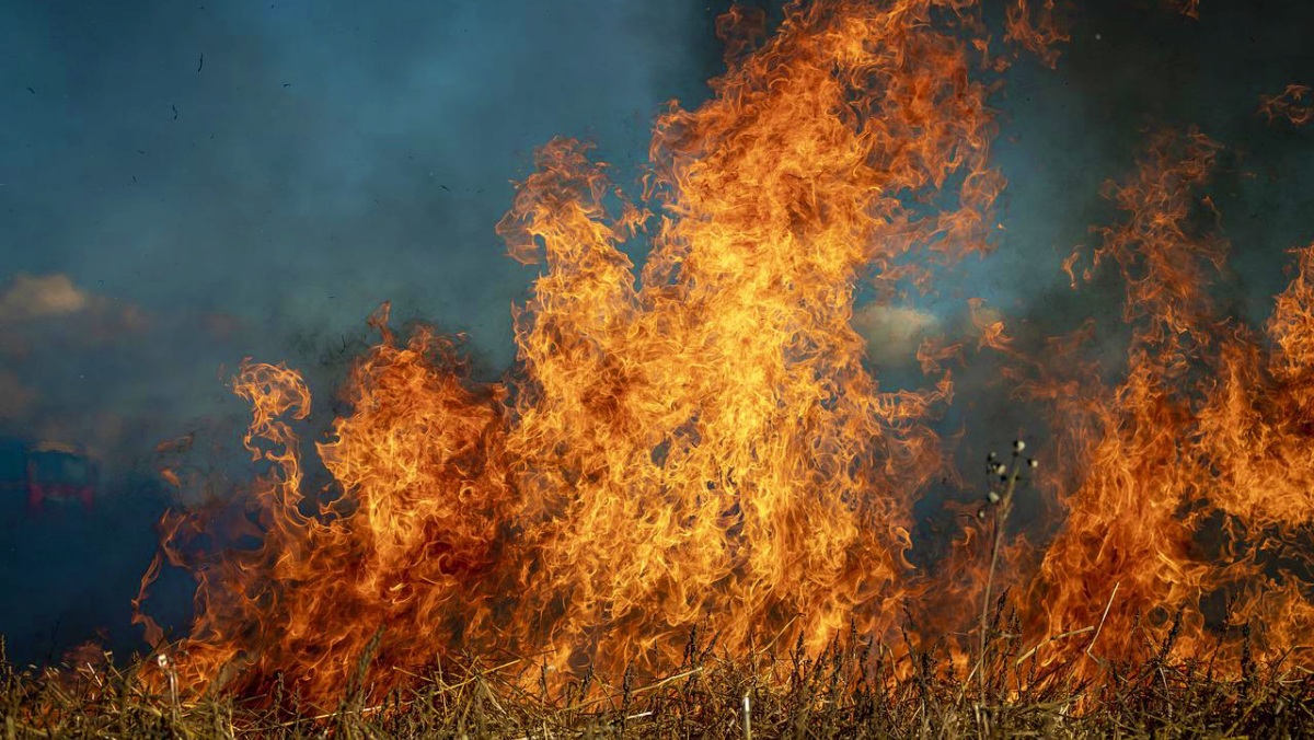 Incendio forestal en Castilla-La Mancha