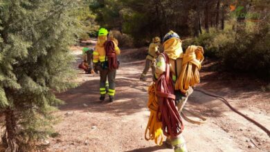 Incendio forestal en Albacete - Foto de archivo