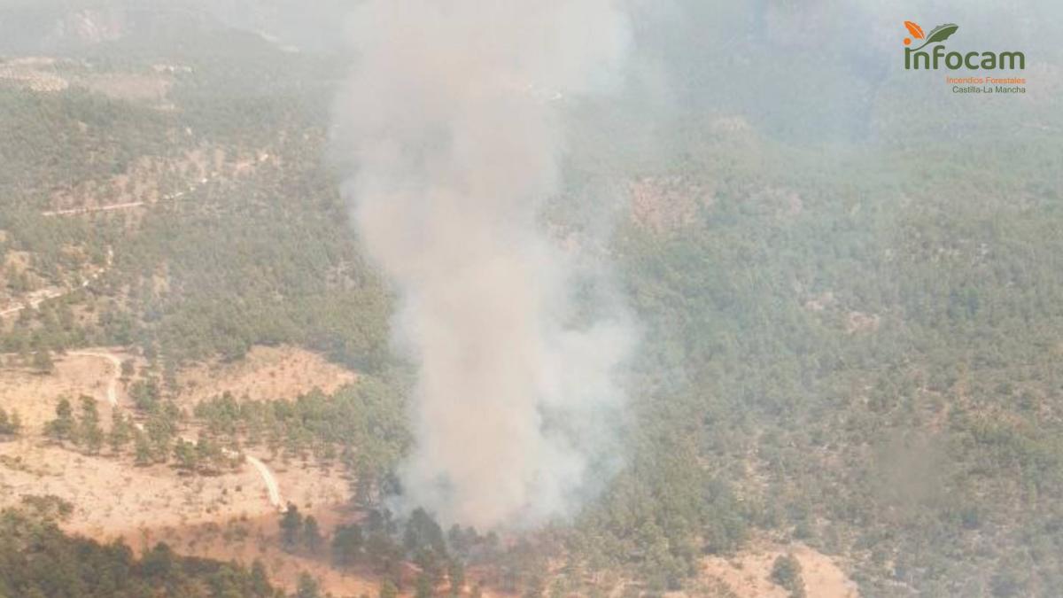 Incendio forestal en Bogarra, Albacete / Foto: INFOCAM