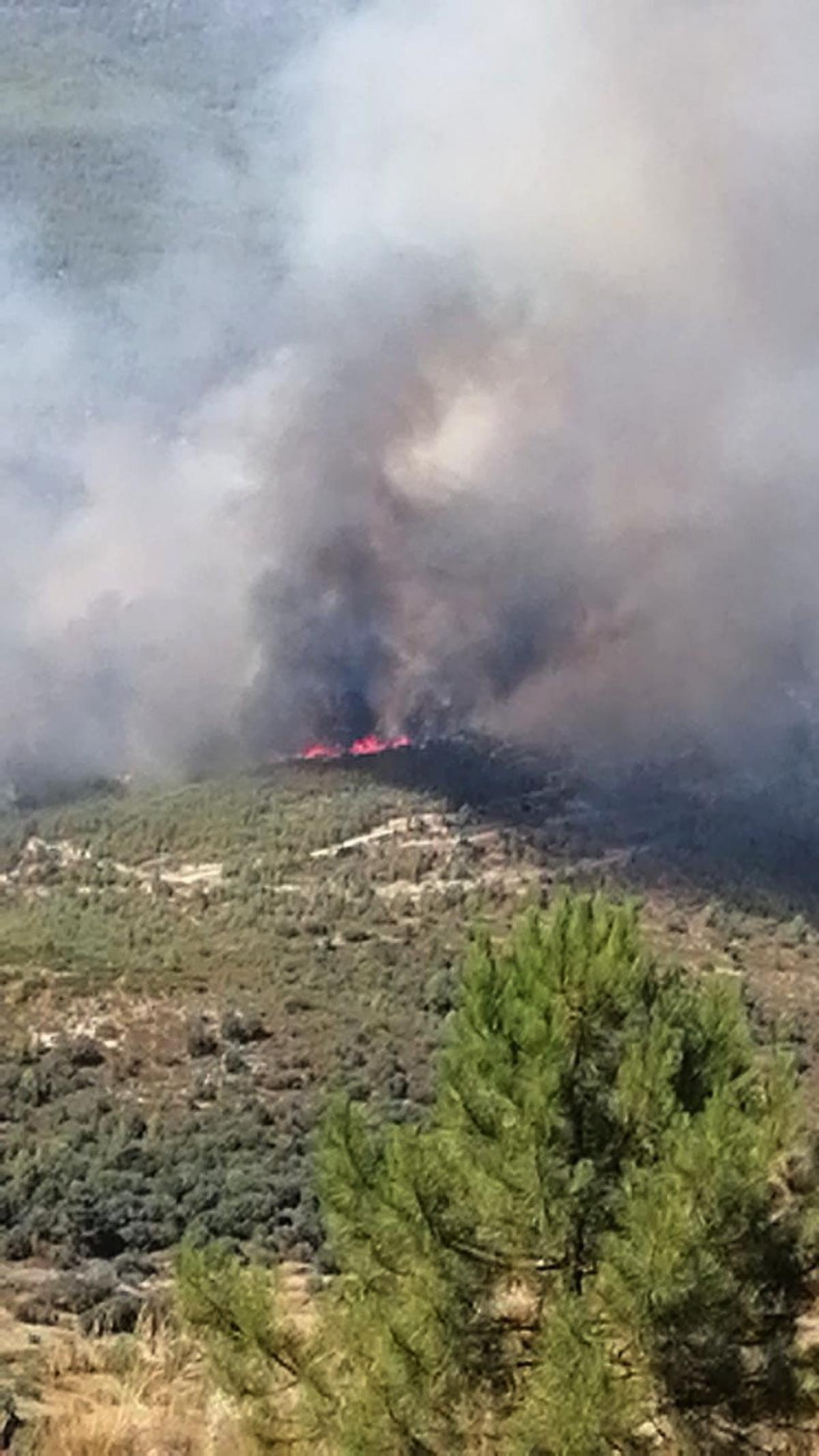 Incendio Moropeche, Yeste