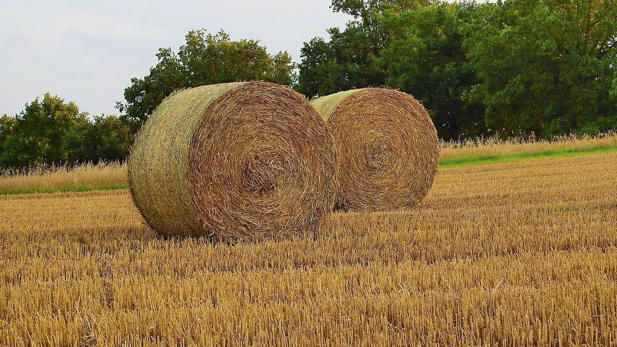 Pacas de paja en Castilla-La Mancha