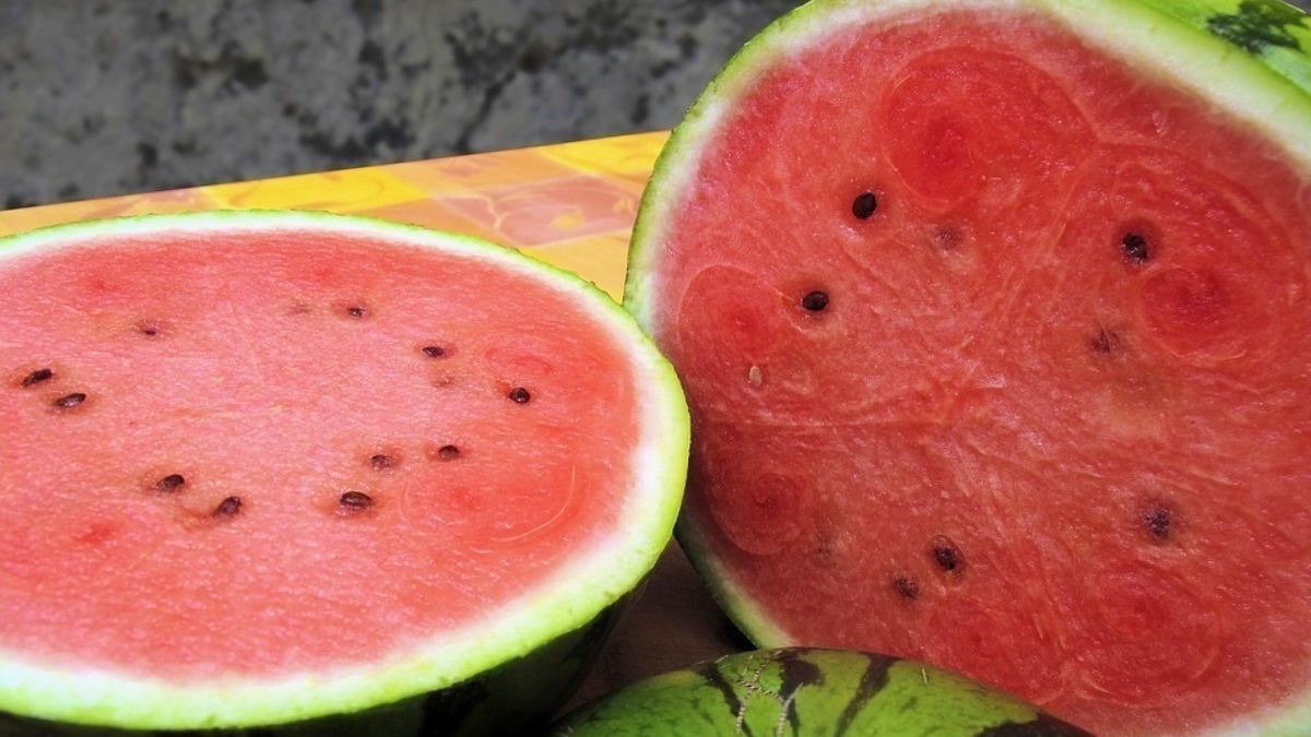 Sandías - Albacete - Foto de archivo