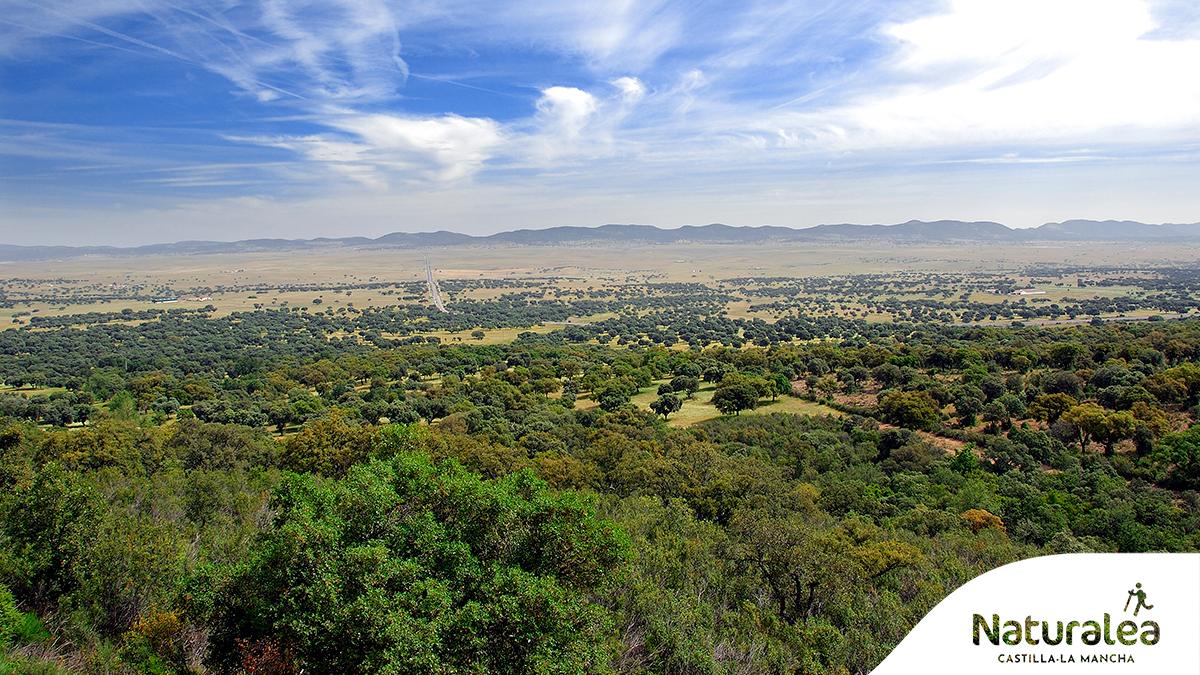 Valle de Alcudia / Foto: ©Turismo Castilla-La Mancha / David Blázquez