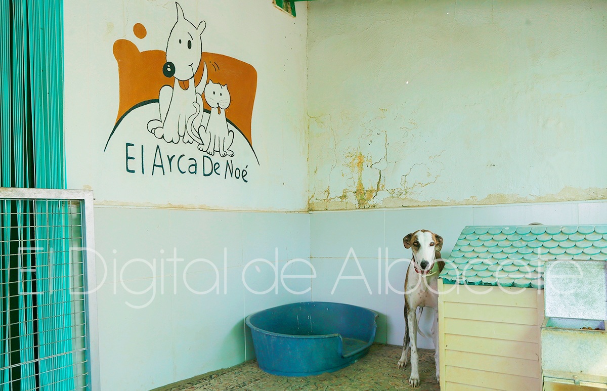 Arca de Noé Albacete