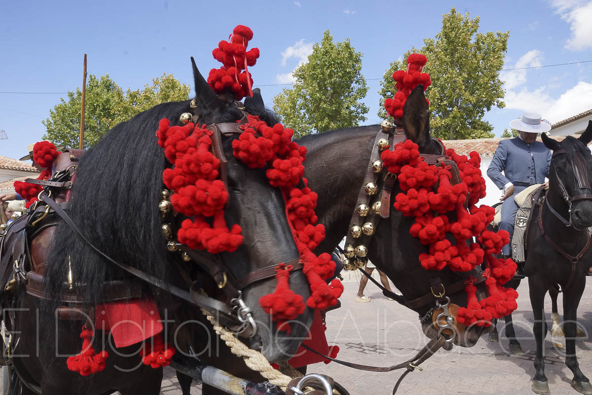 Cabalgata Ecuestre en la Feria de Albacete / Fotos: Miguel Fuentes
