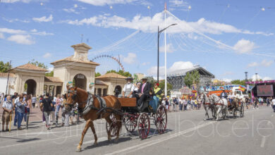 Cabalgata Ecuestre en la Feria de Albacete / Fotos: Miguel Fuentes