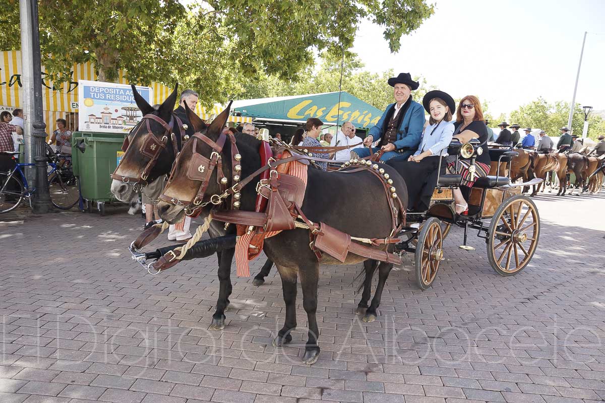 Cabalgata Ecuestre en la Feria de Albacete / Fotos: Miguel Fuentes