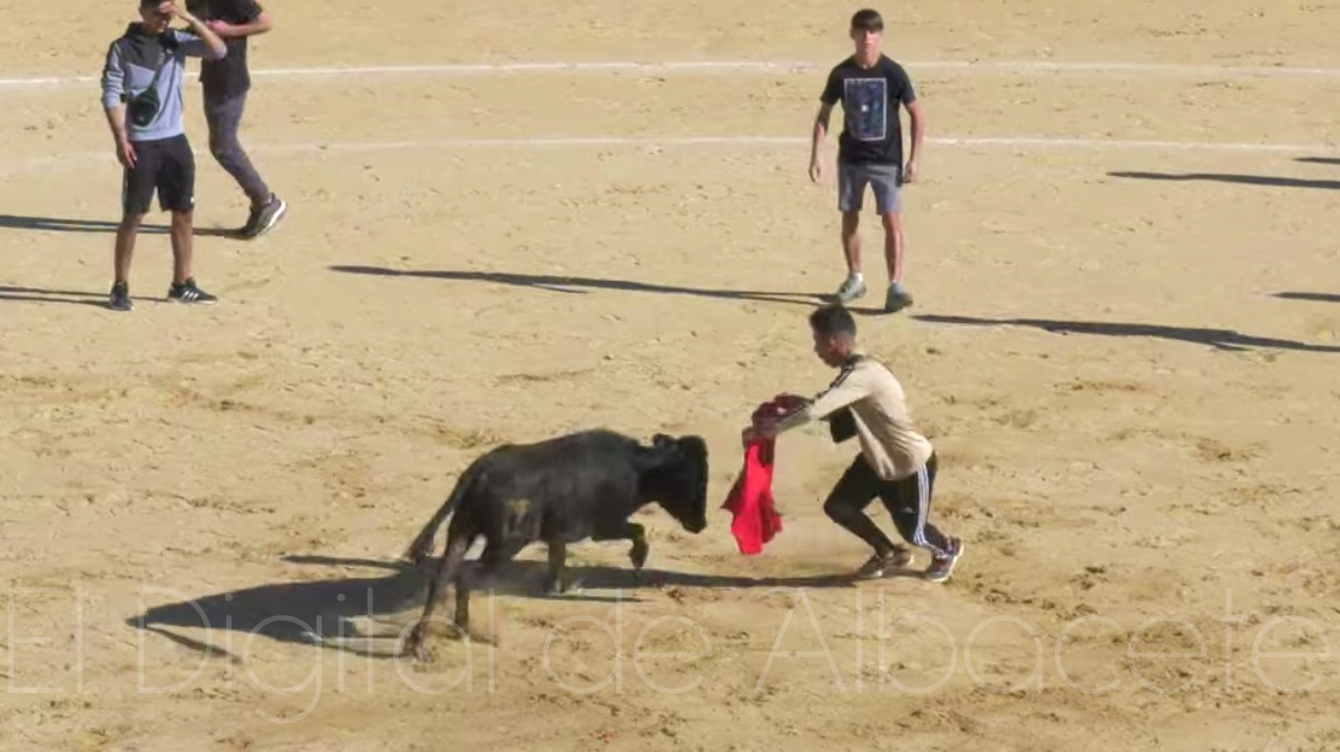 Vaquillas en la Feria de Albacete