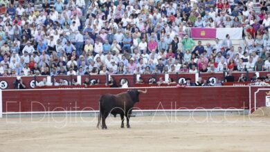 Feria Taurina de Albacete 2022 / Fotos: Ángel Chacón