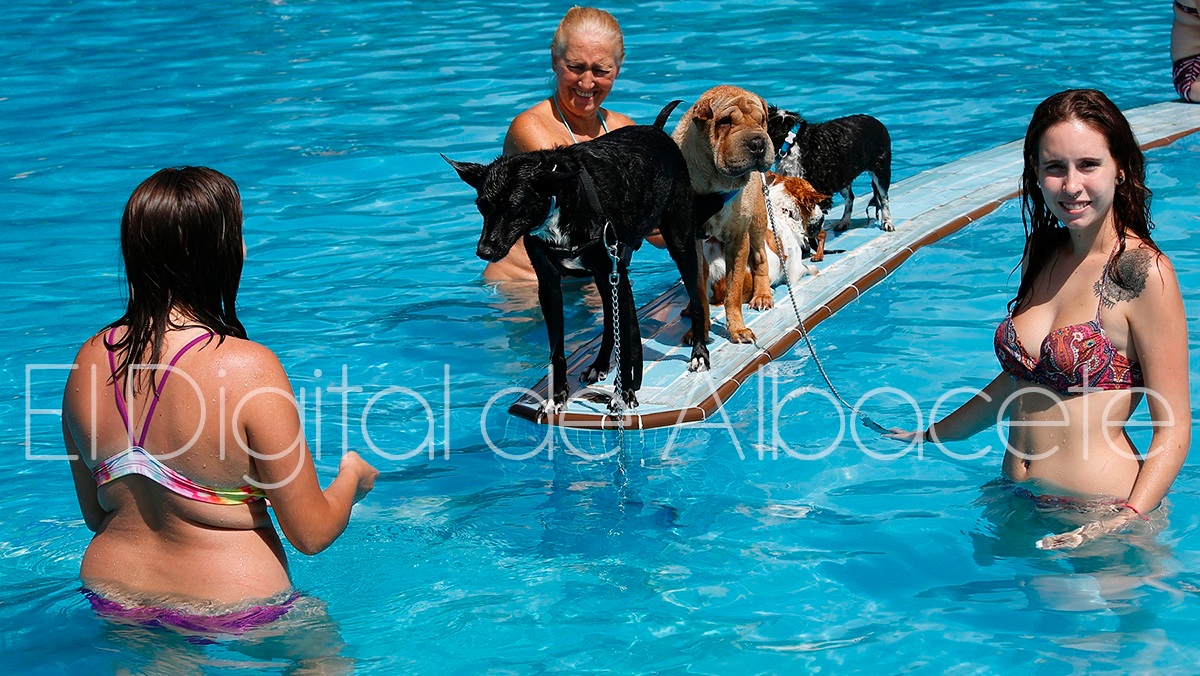 Piscican en Albacete